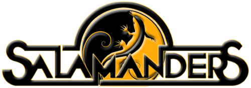Salamanders Party Band